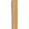 Ekena Millwork Traditional Block Smooth Bracket, Western Red Cedar, 5 1/2"W x 26"D x 26"H BKT06X26X26TRA05SWR - alternate 2